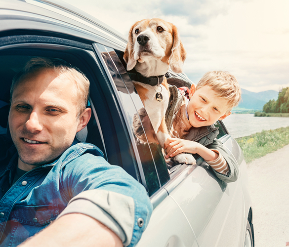 Pennsylvania Autoowners with auto insurance coverage